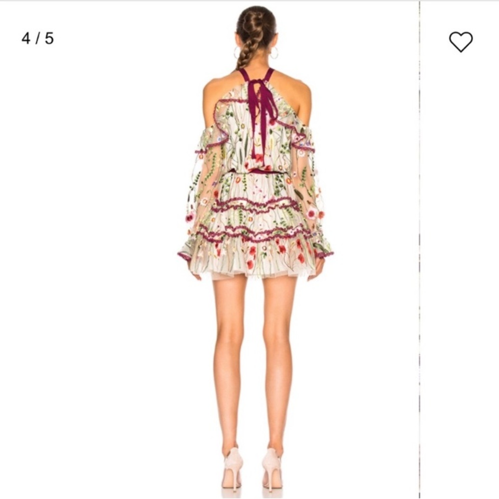 Alexis Adeline Embroidered Floral Short Dress in Ivory Garden - Picture 3 of 10